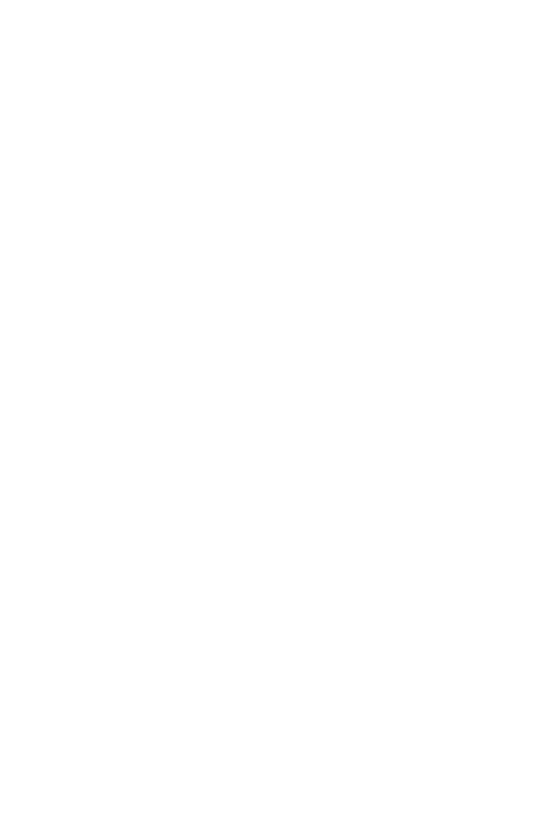Vector decoration